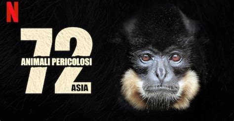72 Dangerous Animals Asia Stream Jetzt Online Anschauen