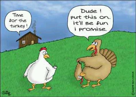 What A Chicken Funny Thanksgiving Pictures Thanksgiving Cartoon