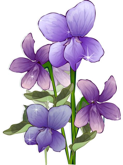 The flowers are frequently used in floral arrangements, however this flower is also lovely when dried. Purple Flower PNG, Purple Flower Transparent Background ...