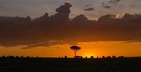 Masai Mara Game Reserve Kenya Sunrise Sunset Times