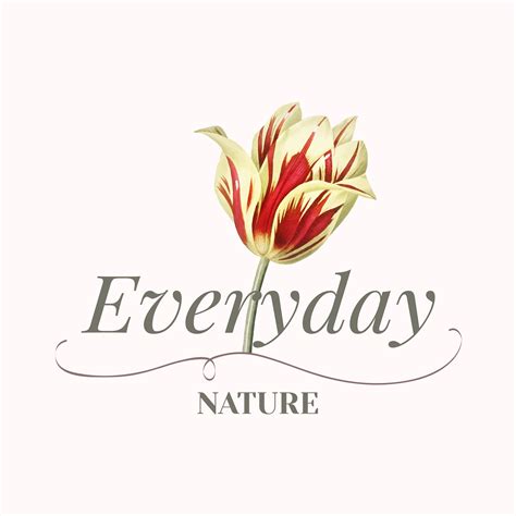 Find download free graphic resources for flower. Flower brand logo template - Download Free Vectors ...