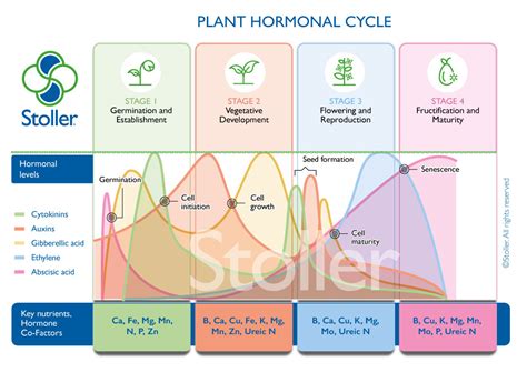Maximize The Genetic Potential Of Plants Plant Physiology
