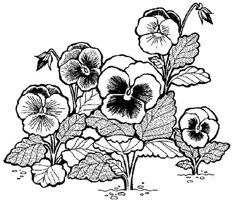 This takes a lot of hard work, but it's all worth it. Free Black And White Flower Tattoo Designs, Download Free ...