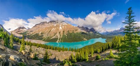 Panoramic View At The Peyto Lake From Bow Summit In Banff National Park