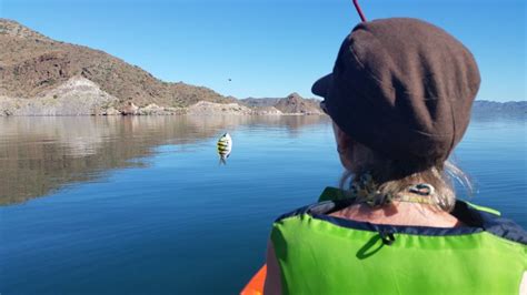 Maybe you would like to learn more about one of these? Finding the Best Fish Tacos in Baja California - A Couple ...