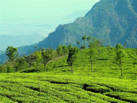 Ooty-Tamilnadu-Wallpapers - Tourist places in India wallpapers and ...