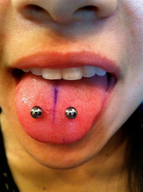Snake Bites Piercing Examples Jewelry And Information Awesome Check More At Fabu