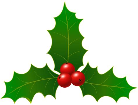 26 Best Ideas For Coloring Christmas Holly Png