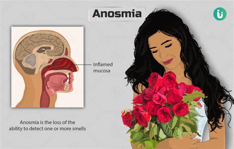 Anosmia Loss Of Smell Symptoms Causes Prevention Diagnosis Treatment