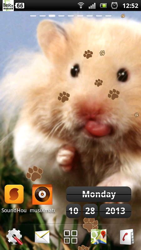 Live Hamster Wallpapers Free Android Live Wallpaper Download Appraw