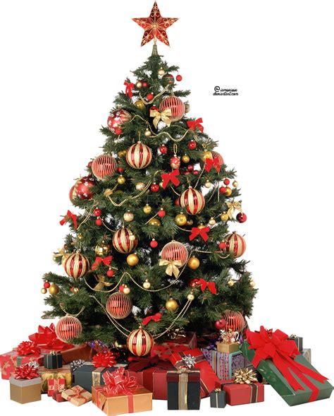 Download transparent christmas tree png for free on pngkey.com. Xmas tree png 6 by iamszissz on DeviantArt