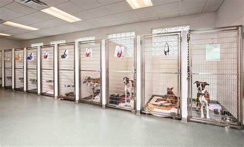 Kennel Hospital Design Indoor Dog Kennel Luxury Dog Kennels Cheap