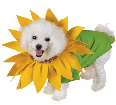 Sunflower Pet Costume Pet Costumes Pet Halloween Costumes Dog