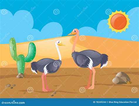 Two Ostriches In The Desert Stock Vector Illustration Of Creature