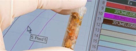 SCOPERTO NUOVO ANTIBIOTICO, uccide i batteri più ...