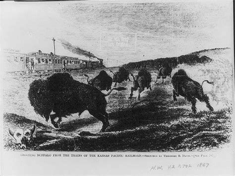 When Buffalo Ran Kansas State History