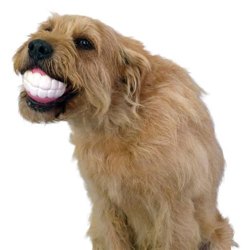 Funny Dog Toy Ball With Teeth Humunga Dog Chew Toy