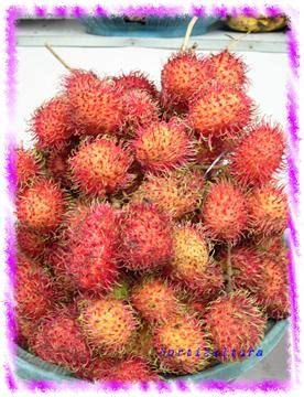 Rambutan merah dan kuning kartun. Jenis-Jenis Buah rambutan | Sigit01