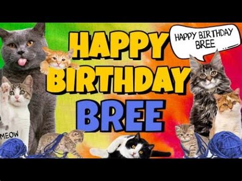 Happy Birthday Bree Crazy Cats Say Happy Birthday Bree Very Funny Youtube