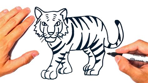 Cómo dibujar un Tigre fácil Dibujo de Tigre YouTube