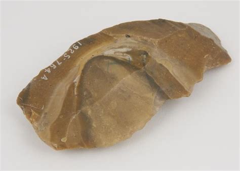 Flint Hand Tool Side Scraper Made In The Stone Age Science Museum