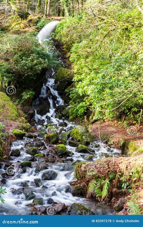 Waterfall In Mossy Woodland Stock Photo Image Of Drop Peaceful