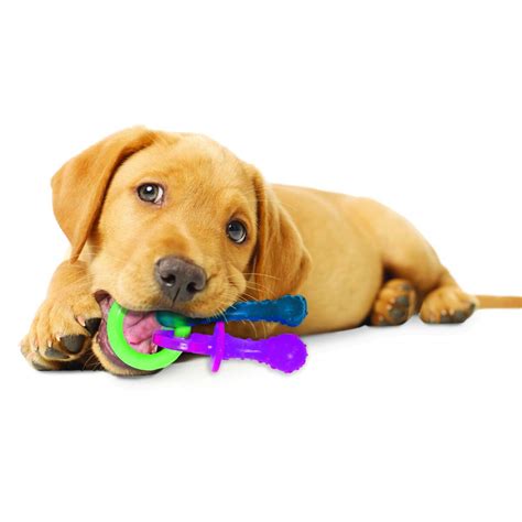 Puppy Pacifier Dog Pacifier Teething Toy Nylabone