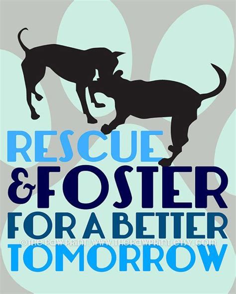 Login Or Sign Up Rescue Dog Quotes Dog Quotes Foster Dog Quotes