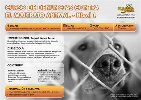 Curso De Denuncias Contra El Maltrato Animal Nivel I Somos Muy Perros