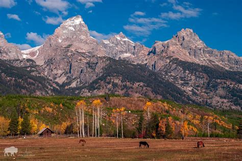 Welcome To Grand Teton National Park