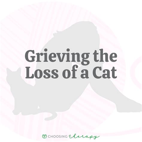 How Can Losing A Cat Cause Grief