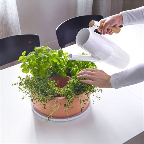 A Self Watering Herb Planter Thats Also A Centerpiece Herb Planters