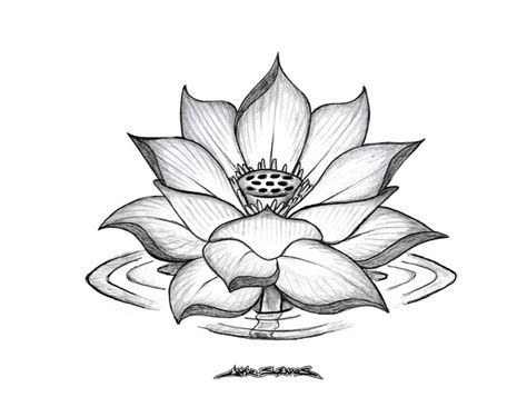 Check spelling or type a new query. Pictures Of Flower Drawings - Cliparts.co