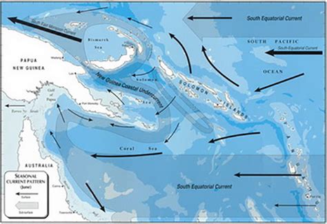 Papua New Guinea's Marine Biodiversity | Indopacficimages