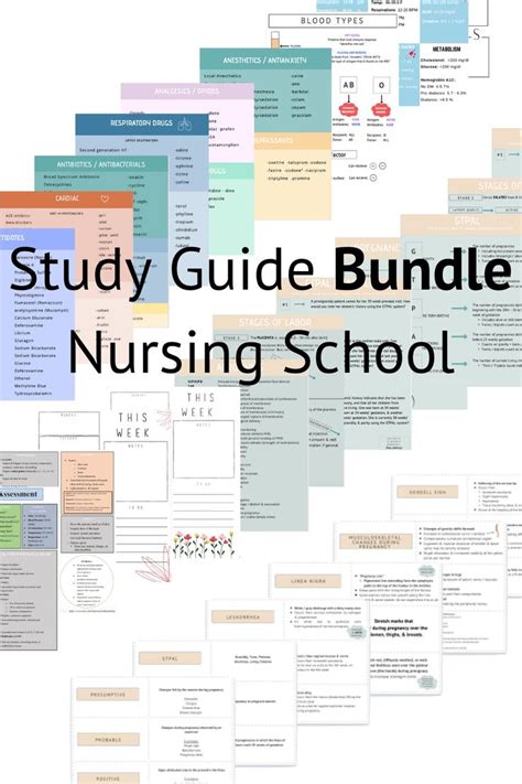 The Complete Nursing School Bundle 200 Pages Digital Etsy Nursing