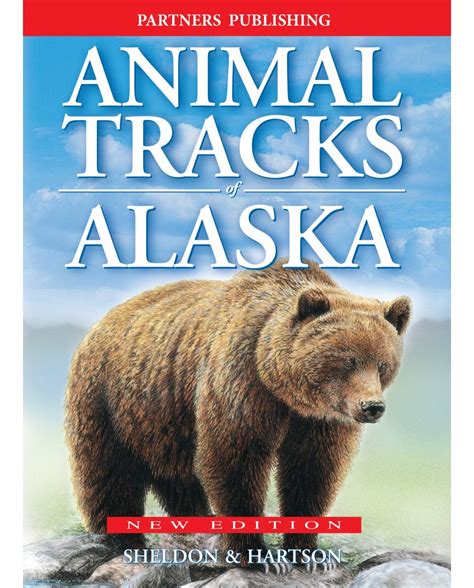 Animal Tracks Of Alaska Nhbs Field Guides And Natural History
