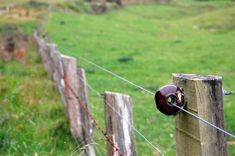 These types of electric fence chargers are powered by an electric circuit connected to your electricity grid. 10 Best Electric Fence Chargers of 2020 - Reviews & Buyer Guides