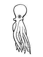 octopus coloring pages  printable activities