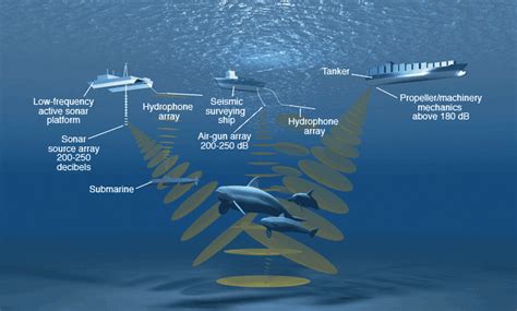 Eco Postings: Noise Pollution affecting Ocean