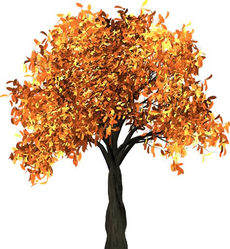 Autumn Trees Free Images On Pixabay 3