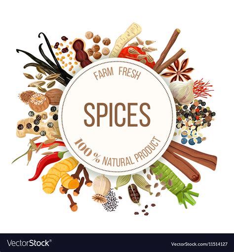 Culinary Spices Big Set Royalty Free Vector Image