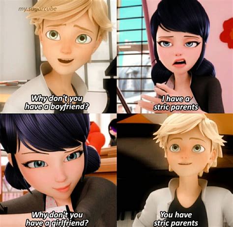 Cute Adrienette 😍🥰 Miraculous Ladybug Movie Miraculous Ladybug Memes