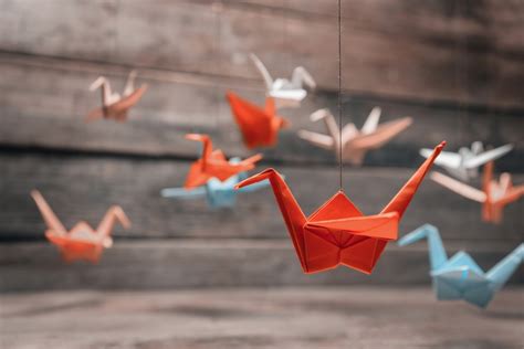 Preface animal cell technology is a newly growing discipline of cell biology which aims not only to understand structure, function and behavior of of our interest. Origami of the Cell | The UCSB Current
