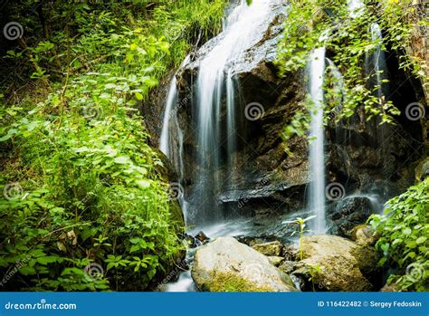 Cascade Falls Over Mossy Rocks Stock Photo Image Of Luznice Forest
