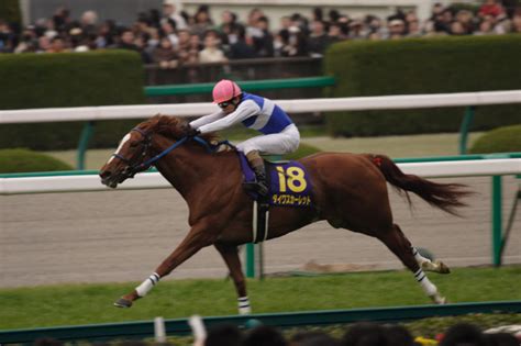 の野望はセンスあった 偽装タイトルのセンスいい投稿者は神 久しぶりにキャビン見てみるか タイピング遅いのかわいい な. 競馬写真PLUS - 年度別レース写真 - 2007年競馬写真 - 桜花賞(G1)