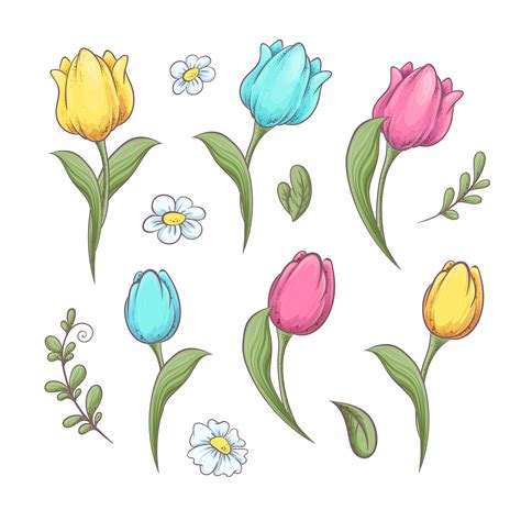 Set Flowers Tulips Hand Drawing Vector Illustration 494977 Vector Art