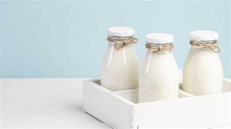 Resep cakwe untuk jualan ini memaparkan sesuai daerah tinggal. 10 Cara Membuat Susu Kedelai, Praktis dan Bisa untuk ...