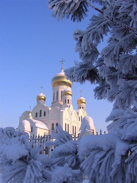 White Church Winter Landscape In Snow Covered Pine Branches Stock Photo