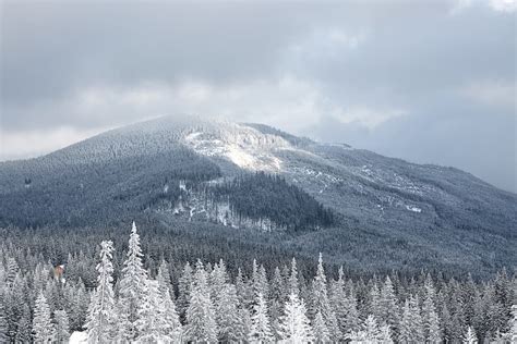 Top 4 Places To See Snow In The Smoky Mountains