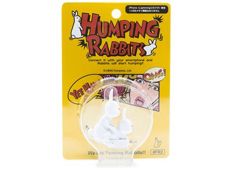 Fucking Rabbits Humping Rabbits Oneness Boutique